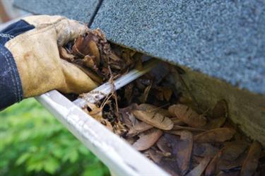 Cleaning gutter that is filled with leaves and other debris.